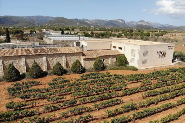 Bodegas Macia Batle – Mallorca – Spanien